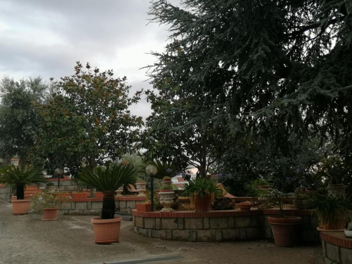 Villa Giannina Massa Lubrense Exteriör bild